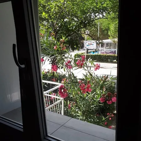 R&b Manga Rosas Lido di Dante