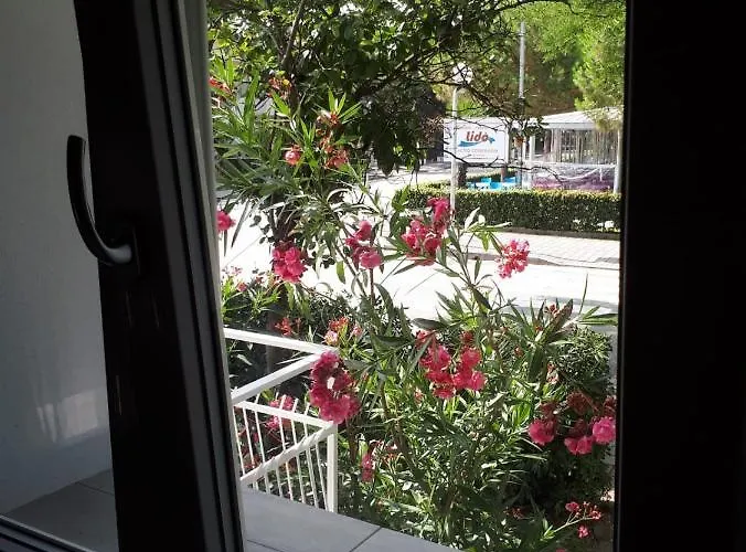 R&b Manga Rosas לידו די דנטה